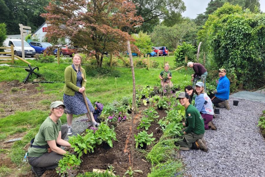 Planting the Welsh Herbal Garden at Treborth