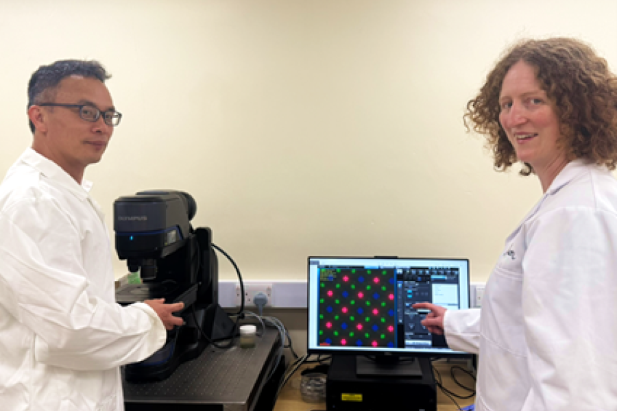 Prof Zengbo Wang (left) and Dr Ellie Jameson (right)