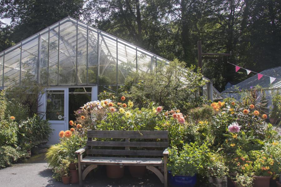 Cool House Conservatory, Treborth Botanic Garden