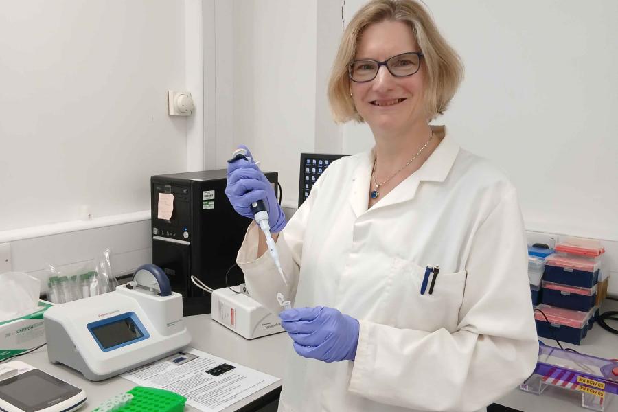 Dr Katherine Steele