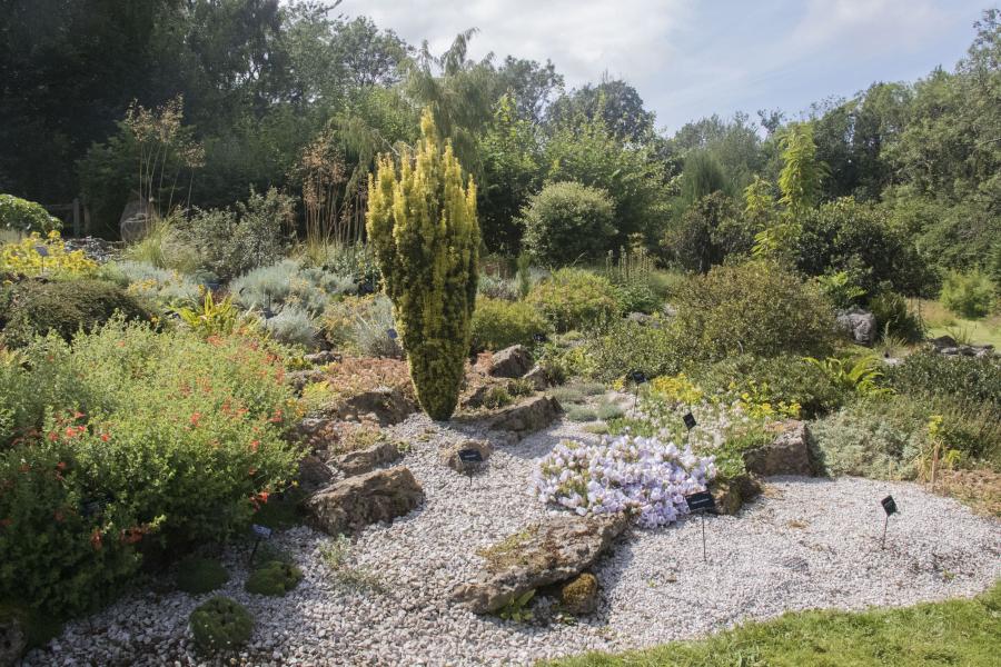 The Rock Garden at Treborth Botanic Garden