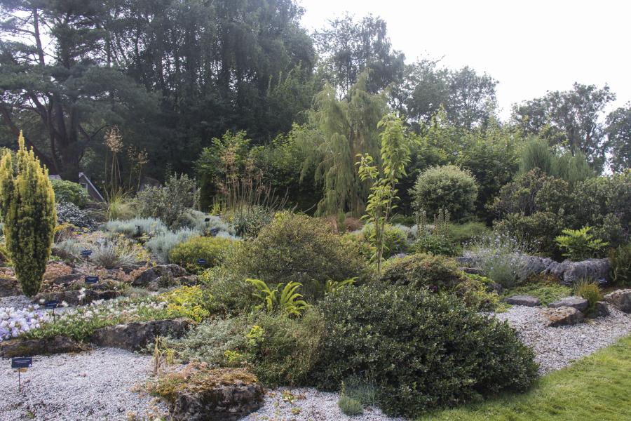 The Rock Garden at Treborth Botanic Garden