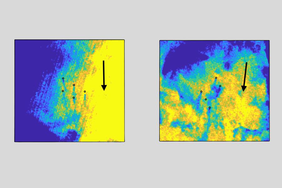 Satellite images from June 2023 showing the abnormally warm waters of the North Sea (yellow), with cool (blue) water being mixed up by the tidally generated turbulent wakes