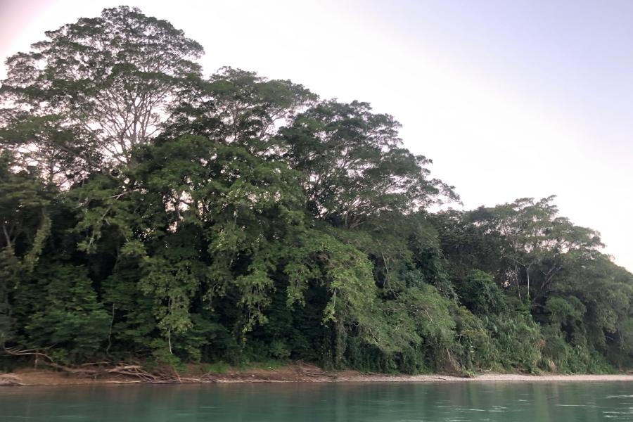 mexican forest river photo