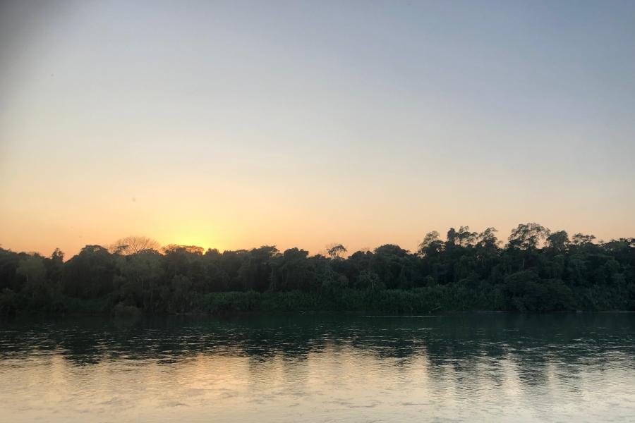 Photo of forest beyond water mexico