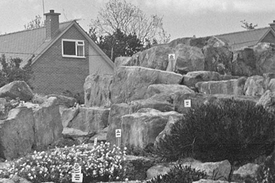 Historic image of the rock garden at Treborth