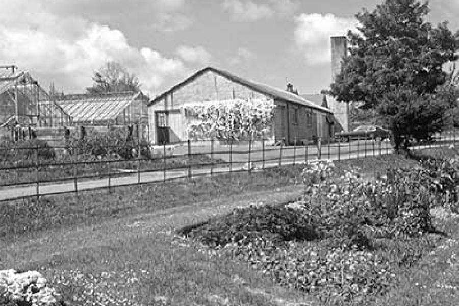 Historic image of Treborth