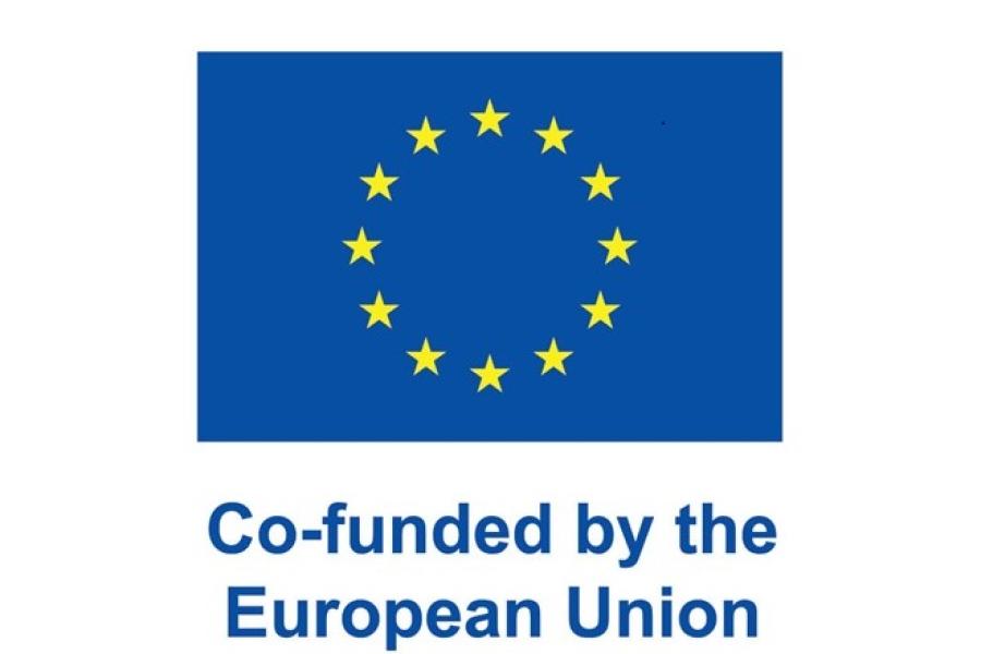 E U funding logo