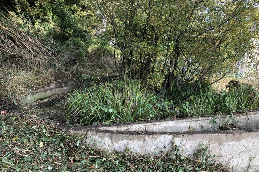 BF support to Brambell pond redevelopment