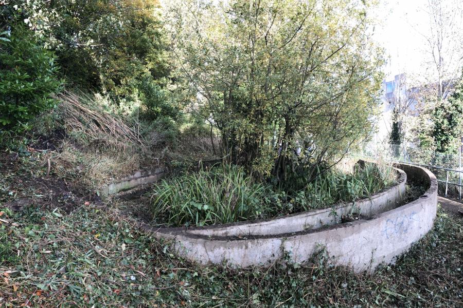 BF support to Brambell pond redevelopment