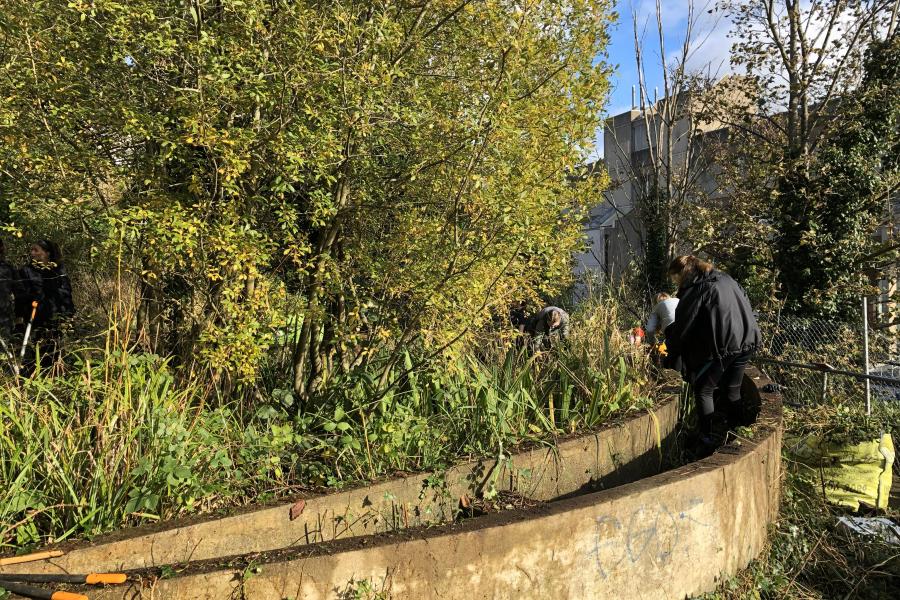 BF support to Brambell pond redevelopment