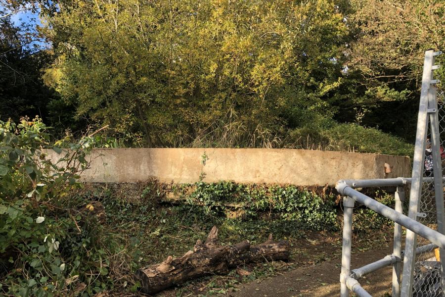 BF support to Brambell pond redevelopment