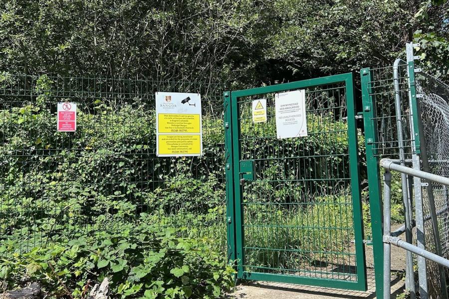 BF support to Brambell pond redevelopment