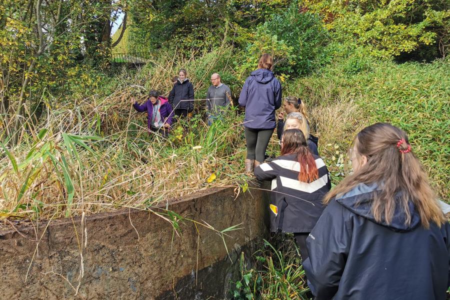 BF support to Brambell pond redevelopment