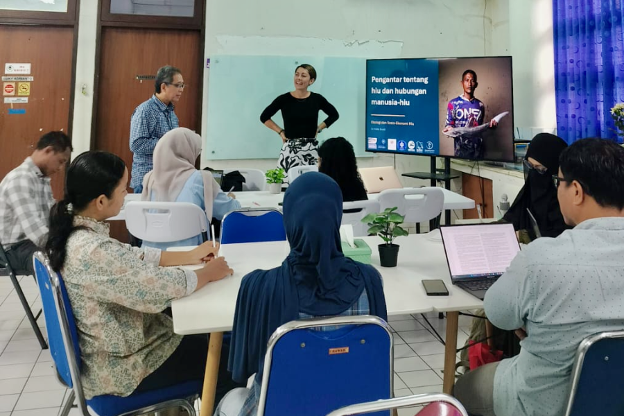 Hollie booth presenting a seminar