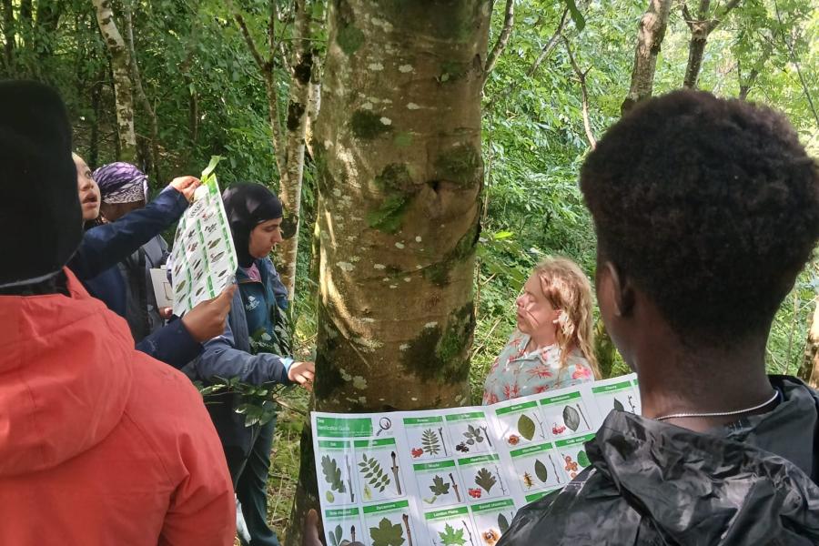 Identifying trees