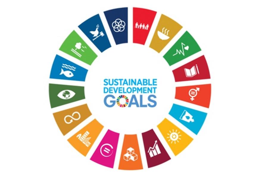 A colourful wheel showing the image icons of the UN's 17 sustainable development goals