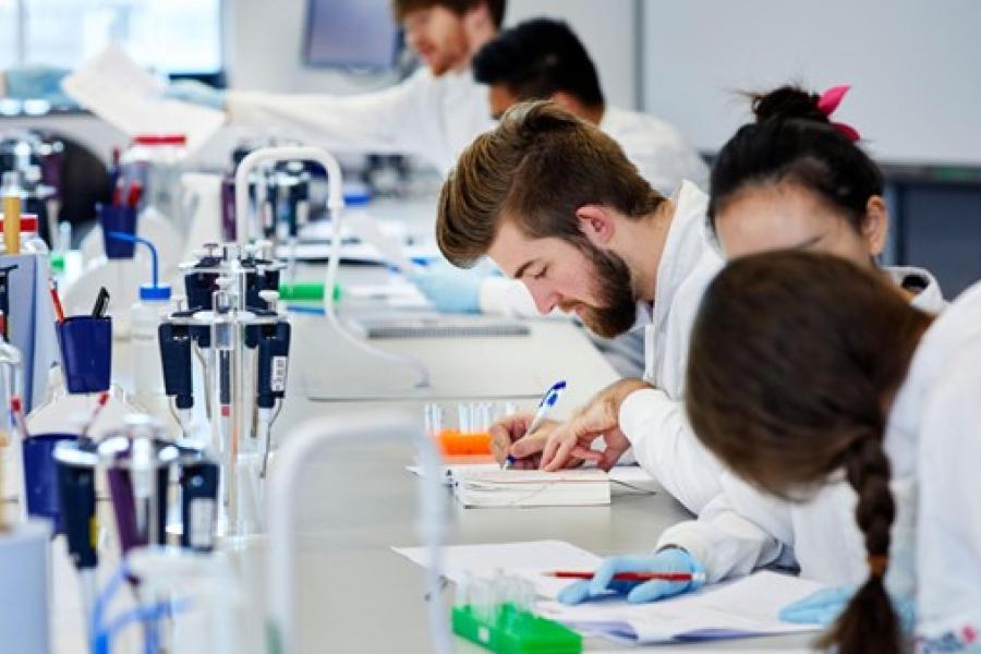 Image shows students undertaking practical work in a laboratory