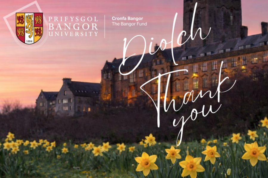 Cardyn Diolch Cronfa Bangor / Bangor Fund Thank You card