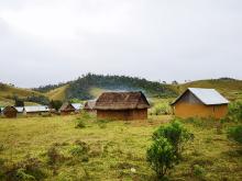 Ambatovy Mine Biodiversity Offset — Independent 'No Net Loss' Evaluation (Madagascar)