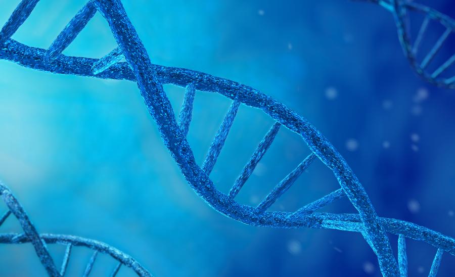 Synthesis of DNA