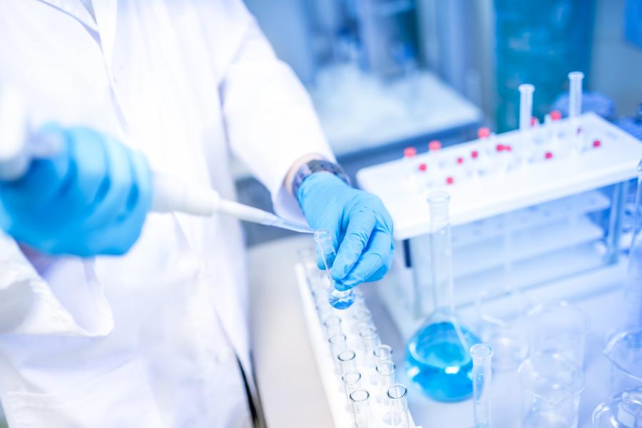 Scientist hands with dropper or pipette, examining samples