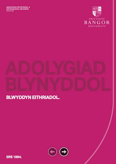 Adolygiad Blynyddol