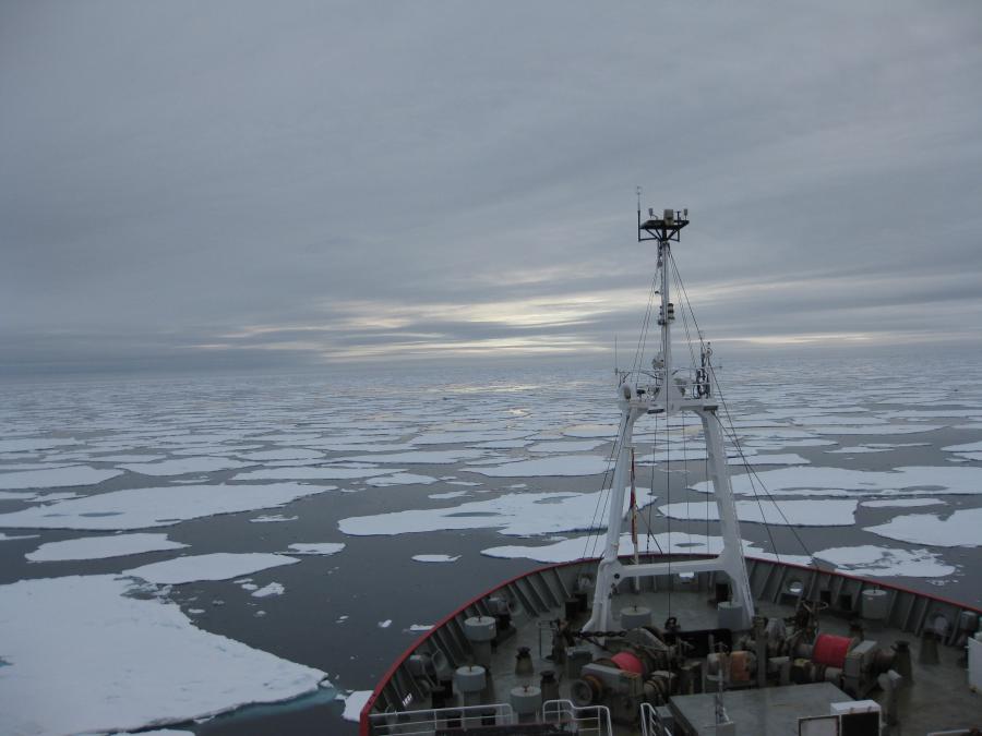 Sea ice seen from a ship's prow.