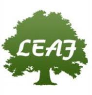 Logo Leaf