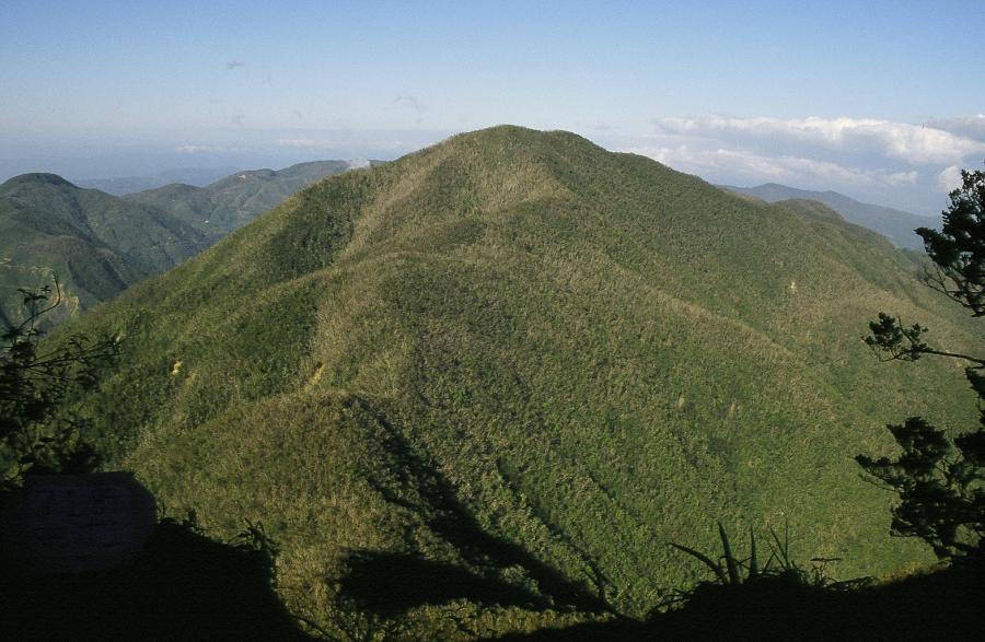 An aforested mountain in the Blue Mountains, Jamaica