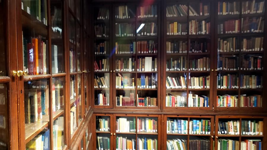 Book cabinets with books