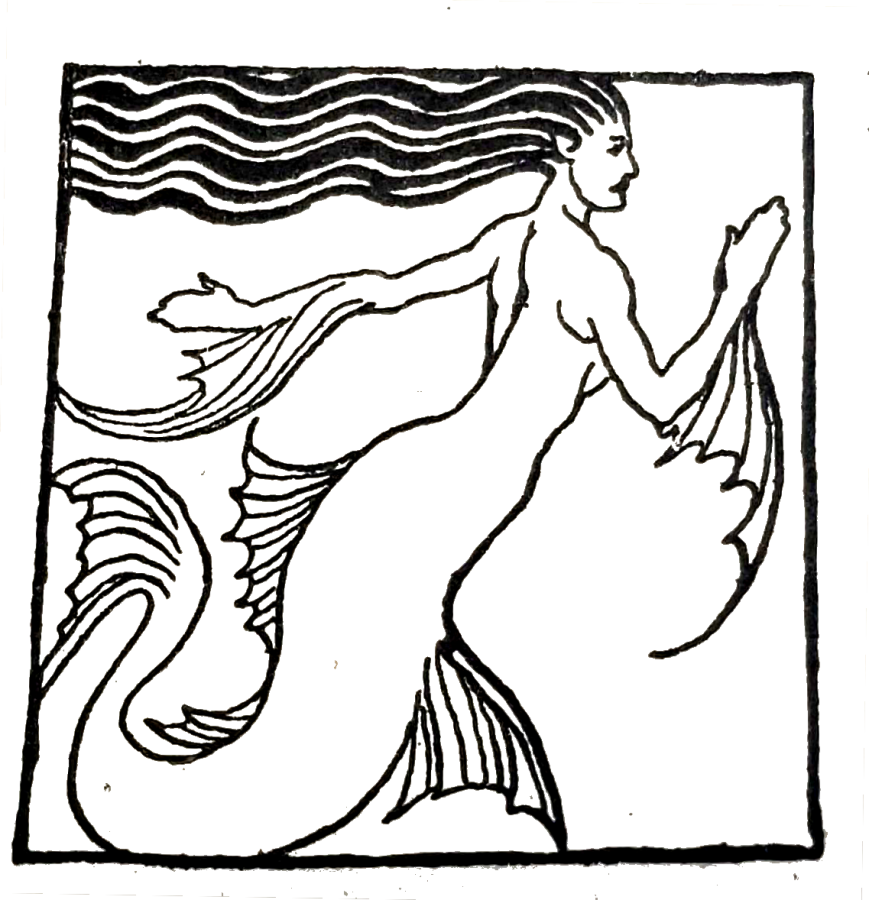 Black ink image of lady of the lake as mermaid