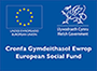 The Welsh Government's European Social Fund Logo
