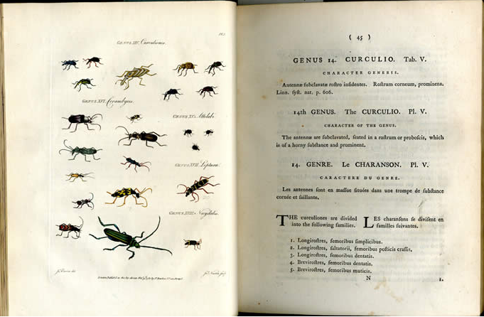 Photo of pages of a book from the Frederick Talfourd-Jones collection