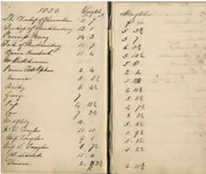 Photo of the notebook that contains various random figures dated between 1850 and 1902,