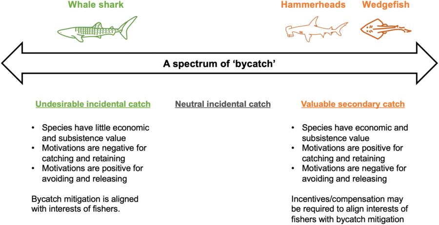 Diagram showing bycatch