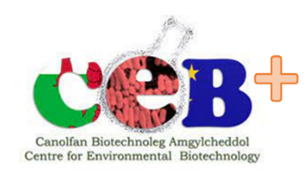 CEB logo