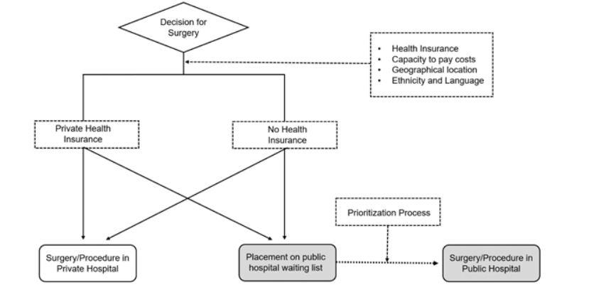 Flow diagram 2. Choice options for patients in the Australian health care system seeking surgery