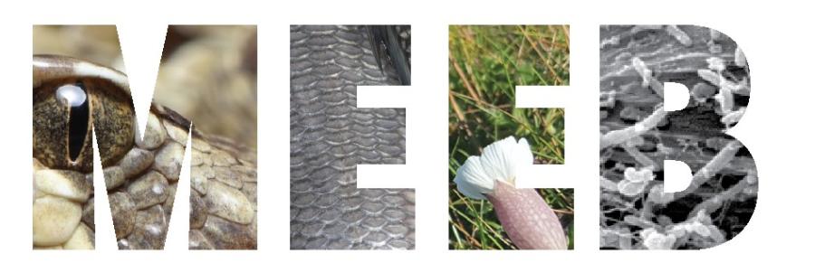MEEB logo