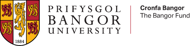 Bangor Fund Logo