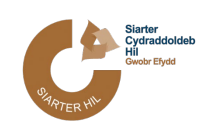 Gwobr Efydd y Siarter Cydraddoldeb Hil 