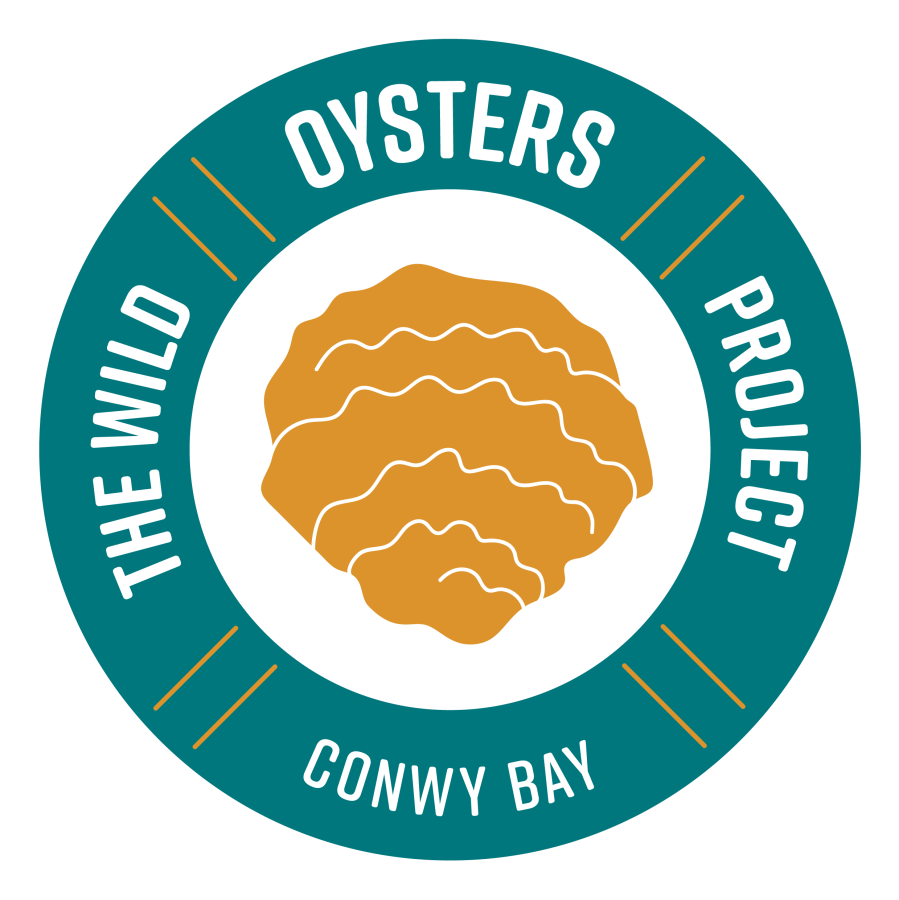 Logo The Wild Oysters Conwy Bay 