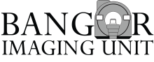 A logo for the Bangor Imaging Unit