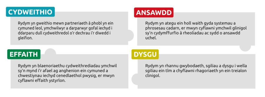 Ein gwerthoedd - Cydweithio, Ansawdd, Effaith, Dysgu