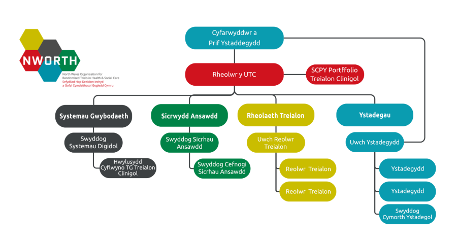 Organogram Strwythur Tîm NWORTH