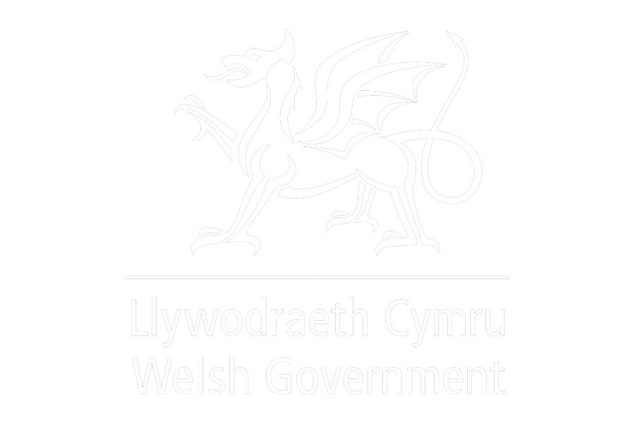 Welsh Government Logo transsparent