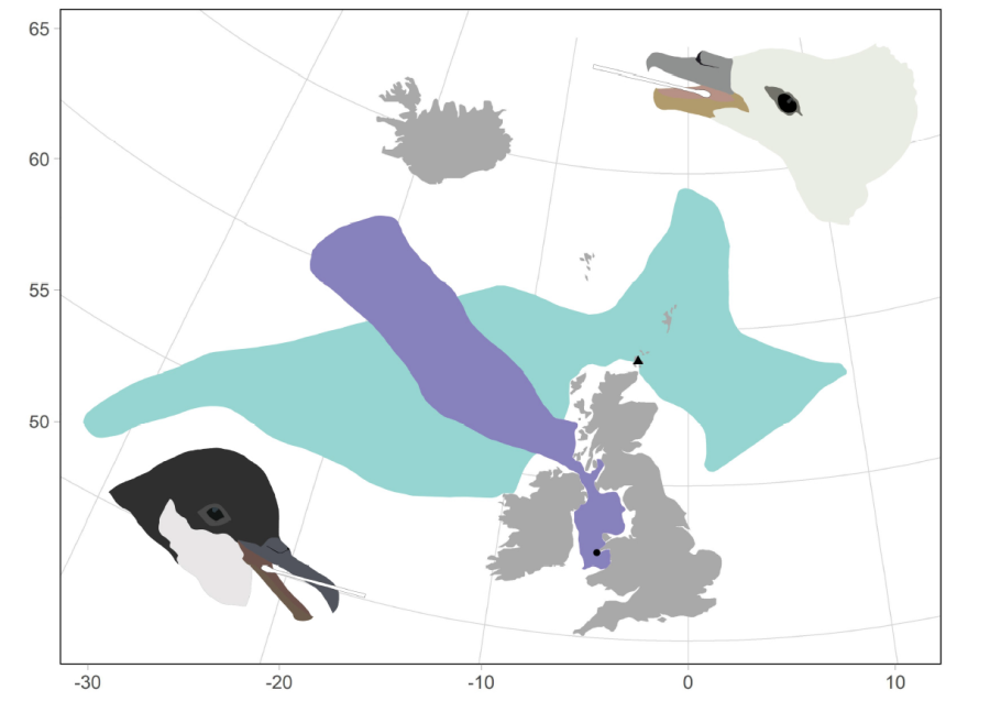 seabird_diet_metabarcoding