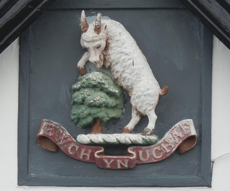 Arms with a goat and a tree and a motto 'Ewch yn Uchaf'