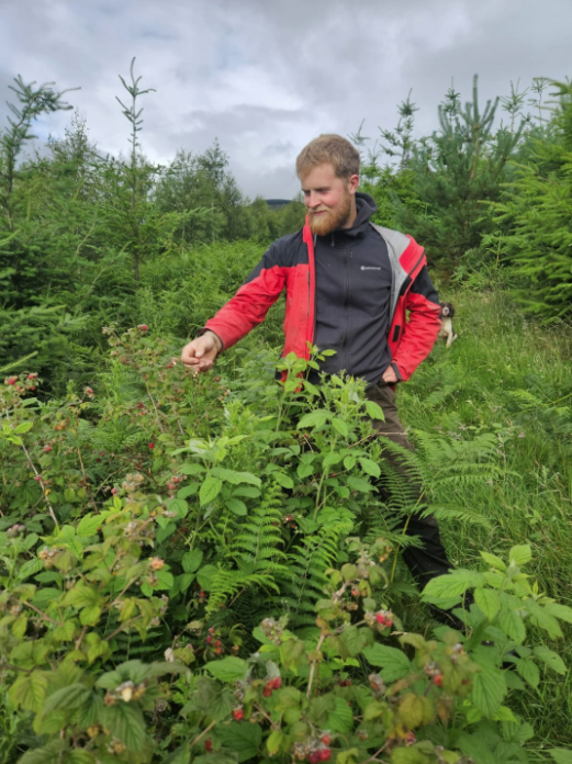 Jacob Main forestry