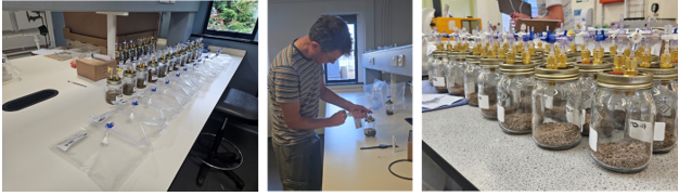 Anthony Gunning, Dr Perrin's scholar